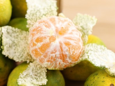 【云仓】浙江临海涌泉蜜桔青春版2kg图2