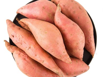 【云仓】有机·田横蜜薯 2.5kg图5