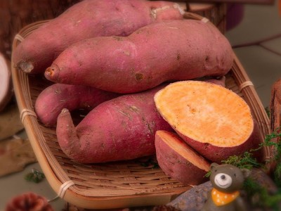 【云仓】有机·田横蜜薯 2.5kg图2