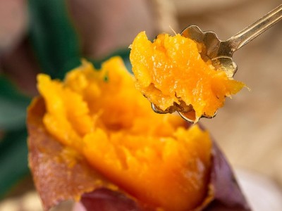 【云仓】有机·田横蜜薯 2.5kg图4