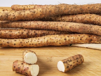 【云仓】温县垆土铁棍山药/2kg图5