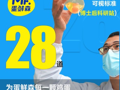 【云仓】蛋鲜森无抗可生食土鸡蛋10枚400g图5