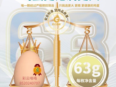 【云仓】正大彩云咯咯15枚可生食鲜鸡蛋945g图5