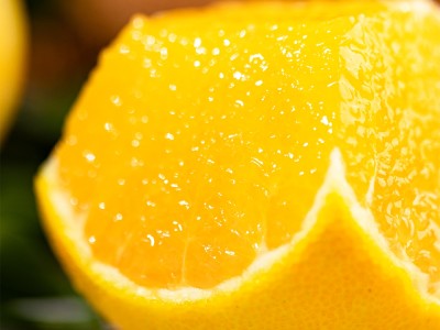 盈香园哀牢山3000橙4.5kg(一级)图5