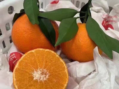 爱媛38果冻橙5斤（20个左右）图2