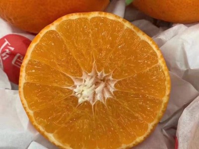 爱媛38果冻橙5斤（20个左右）图3