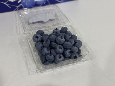 云南蓝莓125g*2盒（ 单果15+）图3