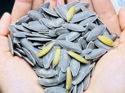 美人甲南瓜子1斤图2