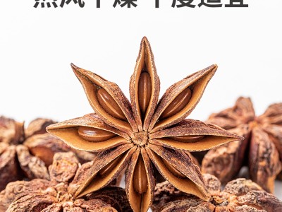 方家铺子 八角120g/瓶图2