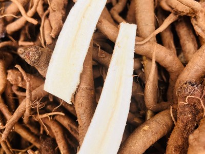 云南新鲜当归1斤图2