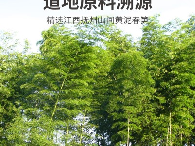 【云仓】方家铺子 原味糯米笋520g/袋图4