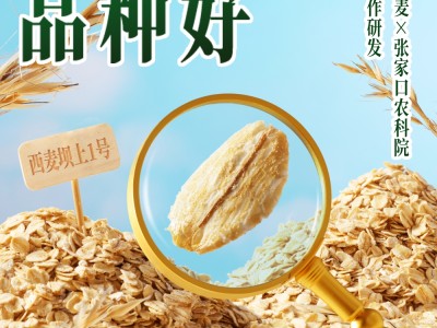 【云仓】西麦 高蛋白有机燕麦片800g图3