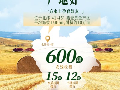 【云仓】西麦 高蛋白有机燕麦片800g图4