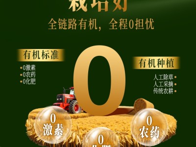 【云仓】西麦 高蛋白有机燕麦片800g图5