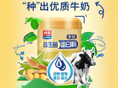 【云仓】西麦 益生菌蛋白粉600g图2