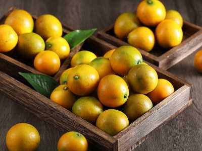 【云仓】广西桂林滑皮金桔优级2kg礼盒(约54-64个/kg)图4