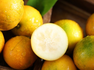 【云仓】广西桂林滑皮金桔优级2kg礼盒(约54-64个/kg)图5