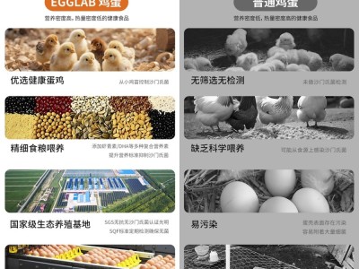 【云仓】艾戈兰博DHA鲜鸡蛋7枚350g图5