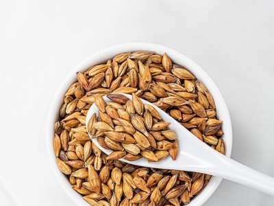 【云仓】方家铺子 大麦茶230g/瓶图3