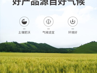 【云仓】方家铺子 大麦茶230g/瓶图5