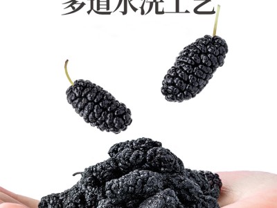 【云仓】方家铺子 桑椹干250g/瓶图4