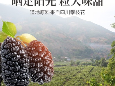 【云仓】方家铺子 桑椹干250g/瓶图5