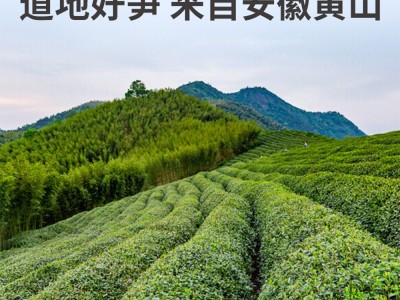 【云仓】方家铺子 黄山扁尖笋500g/袋图4